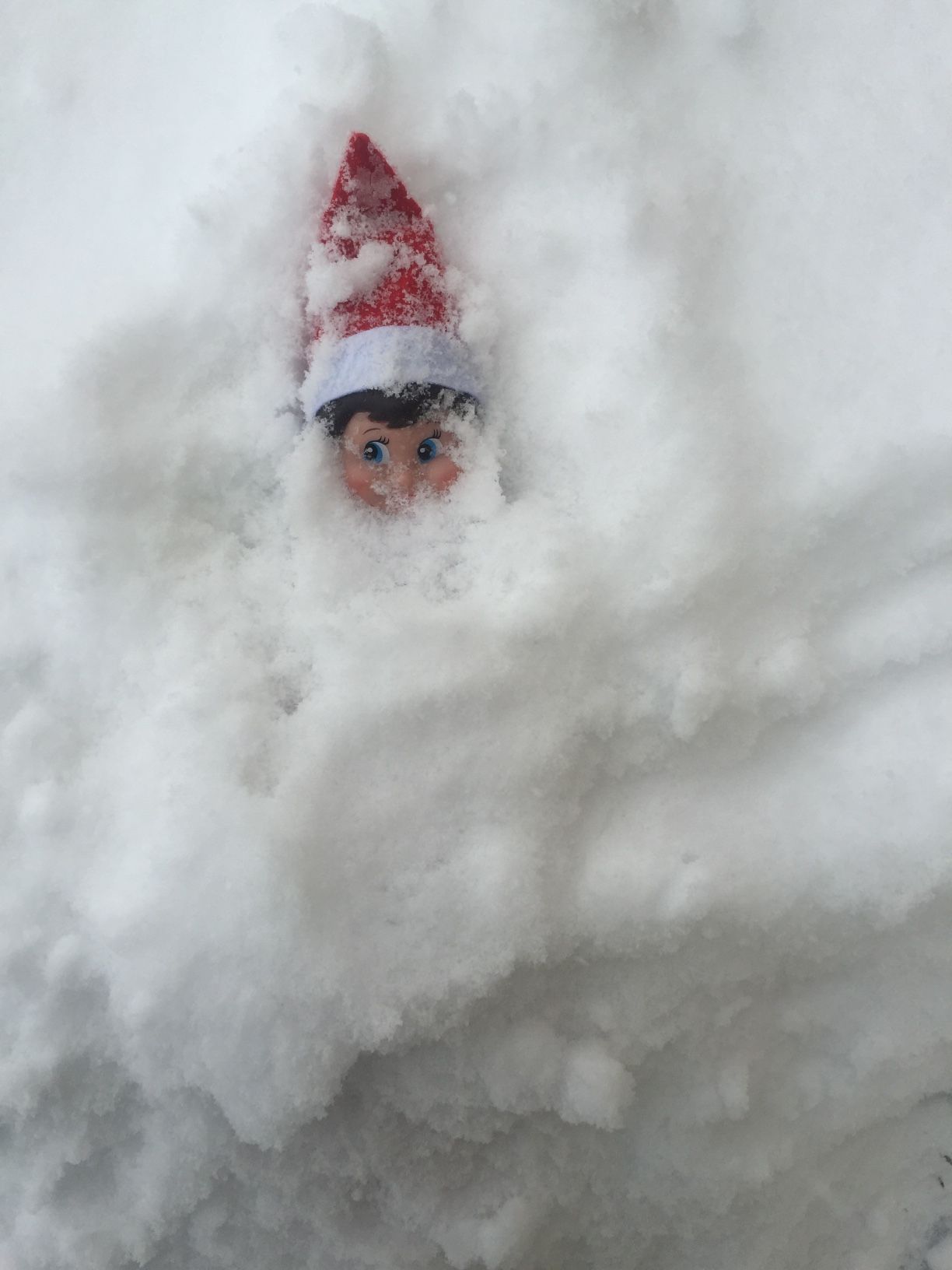 Buried in snow